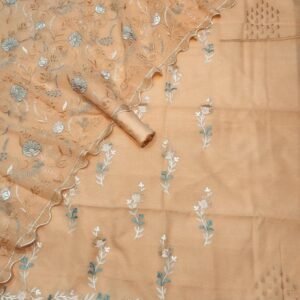 BB 01 BANARASI SUIT
