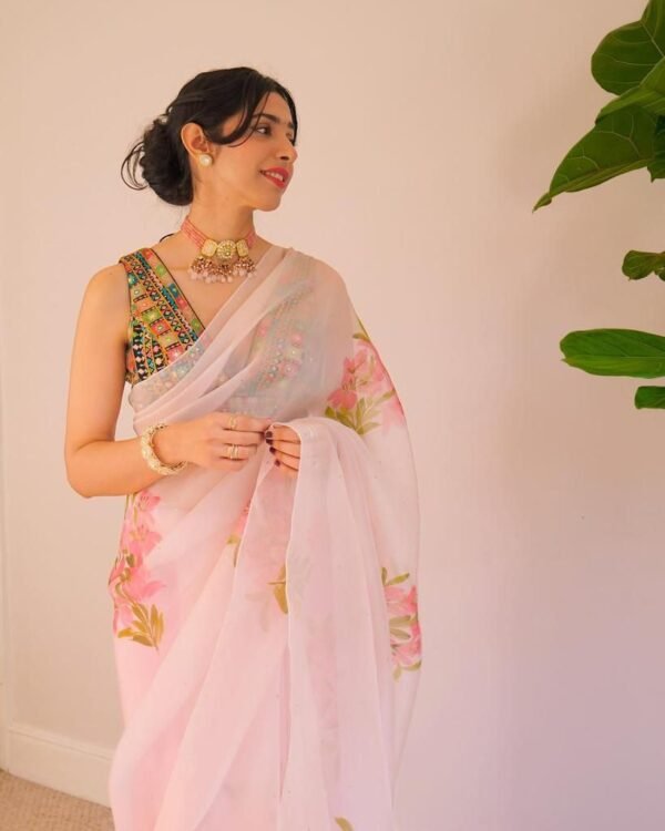 BB 06 Hand Painted Banarasi Pure Organza Saree - Image 5