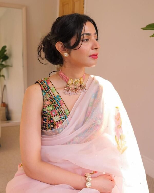 BB 06 Hand Painted Banarasi Pure Organza Saree - Image 4