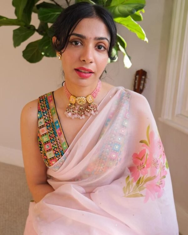 BB 06 Hand Painted Banarasi Pure Organza Saree