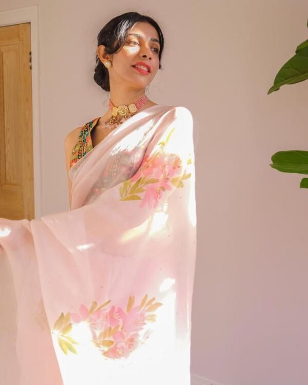 BB 06 Hand Painted Banarasi Pure Organza Saree - Image 3