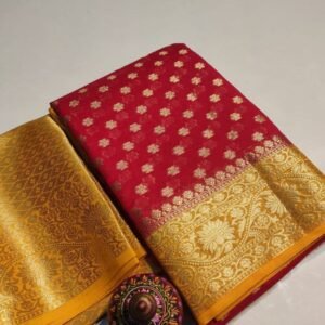 AF04 Banarasi Saree