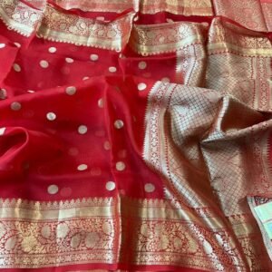 BB 22 Banarasi Dyeable soft semi Kora organza silk saree