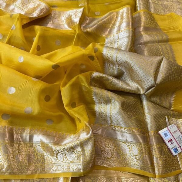 BB 22 Banarasi Dyeable soft semi Kora organza silk saree