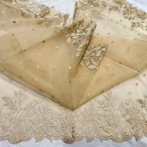 BB 25 Banarasi Tissue silk saree allover  Chickenkari Jaal