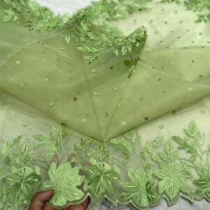 BB 25 Banarasi Pure organza saree with chikankari work