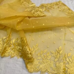 BB 25 Banarasi Pure organza saree with chikankari work