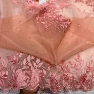 BB 25 Banarasi Pure organza saree with chikankari work