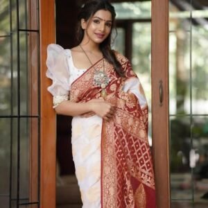 BB 26 Banarasi Handloom Pure Khaddi Georgette Silk Saree