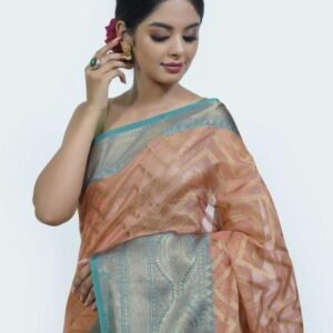 BB 29 Banarasi Kora Tissue Saree Zig Zag Pattern