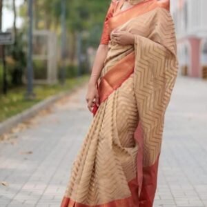 BB 29 Banarasi Kora Tissue Saree Zig Zag Pattern