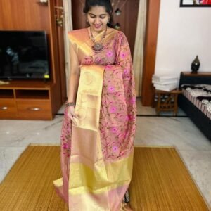 BB 30 Banarasi Tissue Embroidery saree