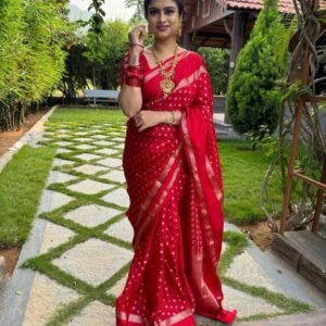 BB 32 Banarasi Waam Silk Saree