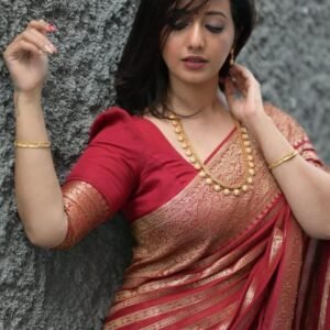 BB 34 Party wear  Waam silk Sarees