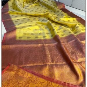 BB 36 Banarasi Tissue Silk Saree