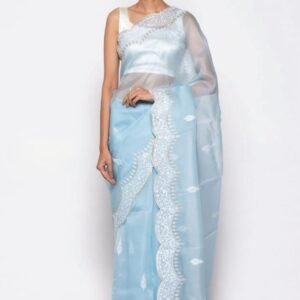 BB 40 Banarasi Pure organza saree with chikankari work