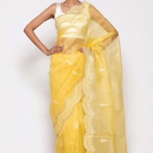 BB 40 Banarasi Pure organza saree with chikankari work