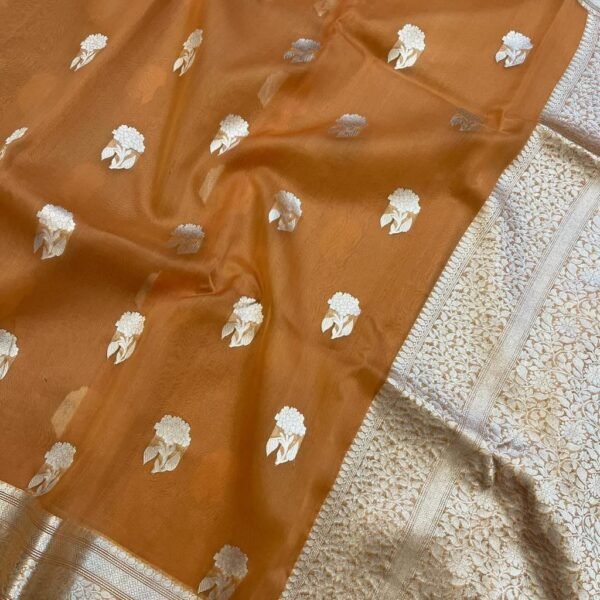 BB 53 Banarasi Semi Organza Saree