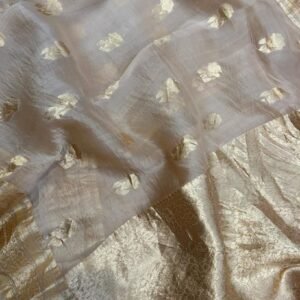BB 53 Banarasi Semi Organza Saree