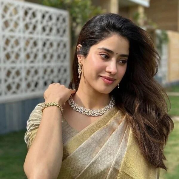 SA 01 Banarasi Tissue Saree